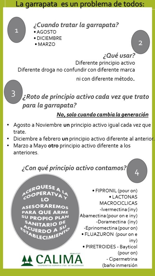 afiche 2 garrapata