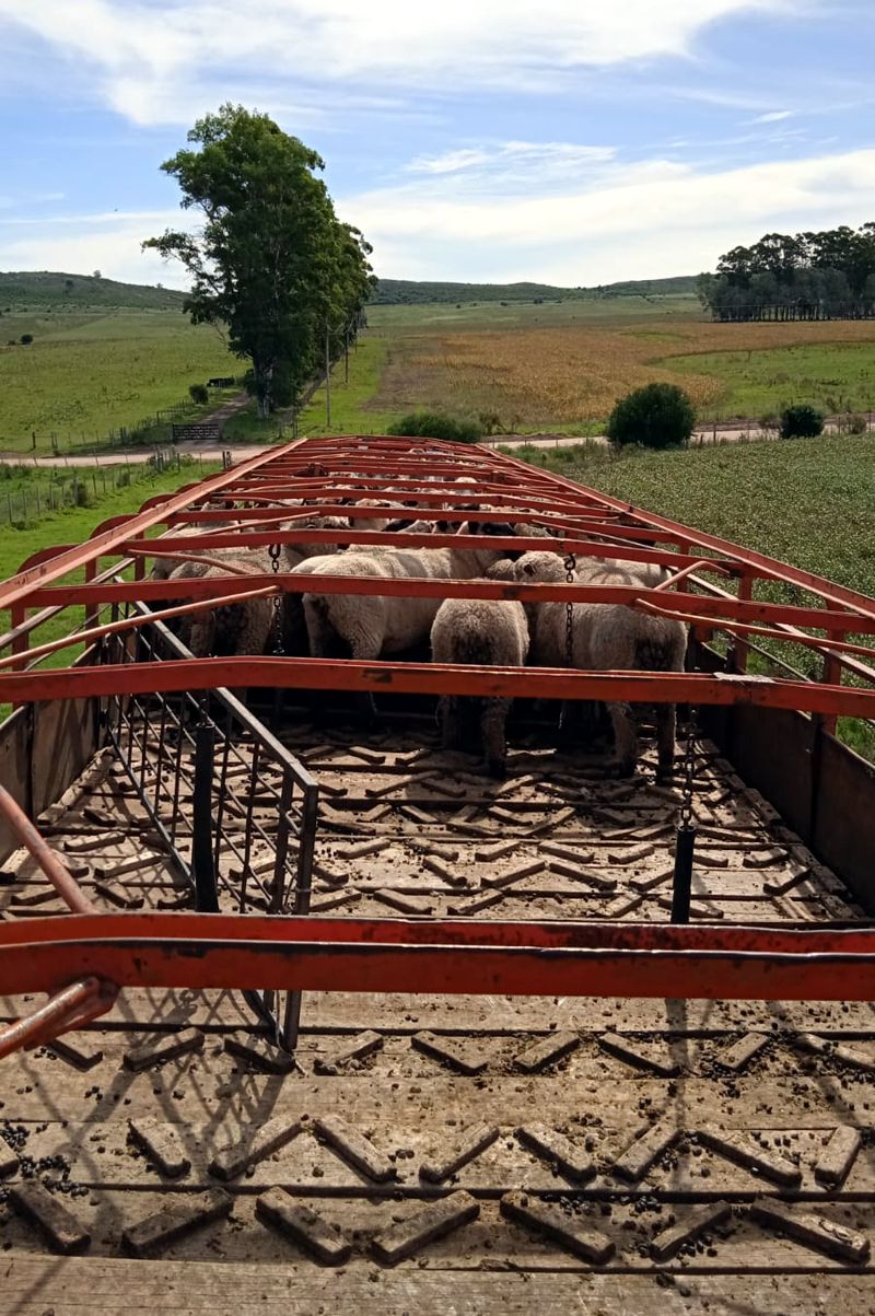 4fb79b77-a267-4919-b032-667d6ffd864f